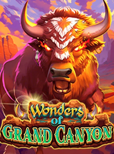 667bet